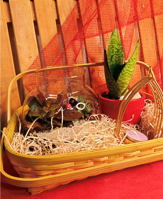 Green basket - Hamper with a Terrarium, Air Purifier, Elegant Diya Holder all in an Assamese basket