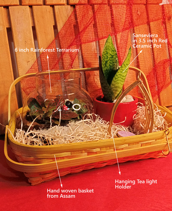 Green basket - Hamper with a Terrarium, Air Purifier, Elegant Diya Holder all in an Assamese basket