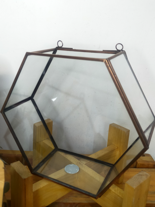 Do-it-Yourself - DIY- Hexagonal Wall Hanging Terrarium