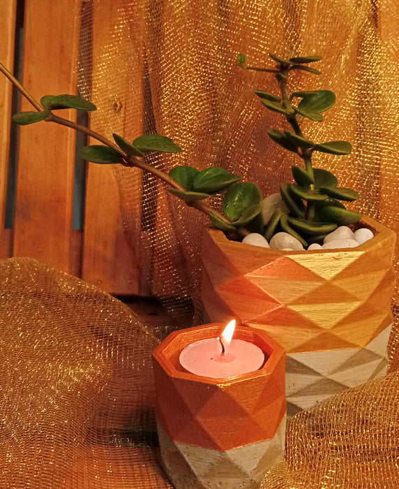 Golden Peperomia Combo in 4 inch Cement Pot and a Candle Holder.