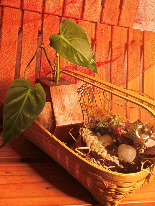 Basket of Elegance - Hamper with a Terrarium, Wooden Hydroponic Planter, Elegant Diya all in an Assamese basket