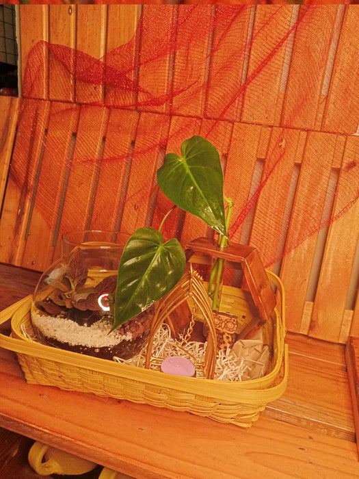 Basket of Elegance - Hamper with a Terrarium, Wooden Hydroponic Planter, Elegant Diya all in an Assamese basket