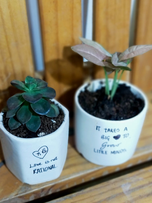 Opposite Twins - House Plants