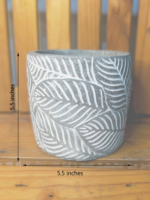 Grey Series - 5 inches Cement Planter - Breeze