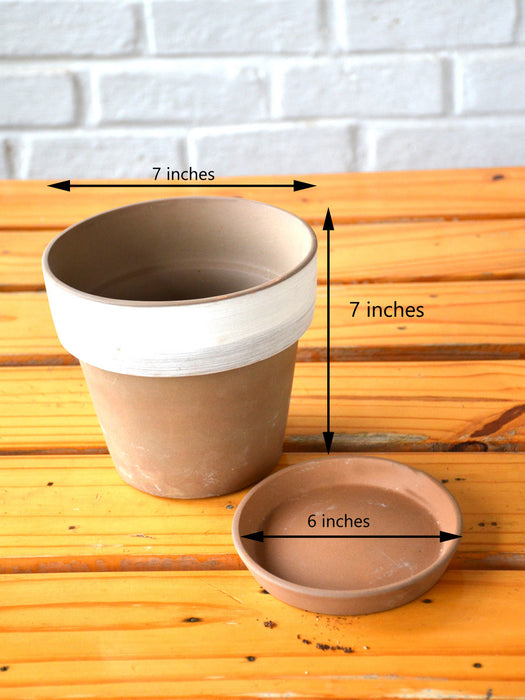 7 inch Banded Ceramic Pot in Terracotta finish
