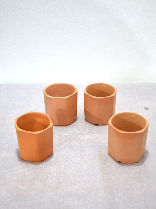 Hexagon Terracotta Pots (Set of 4)