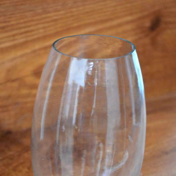 Oblong Terrarium Glass Bowl