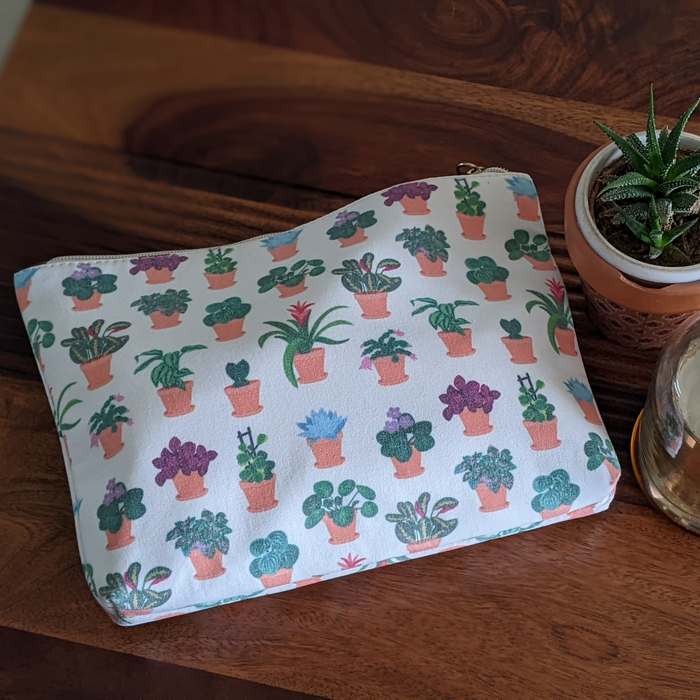 Assorted House Plants Pouch
