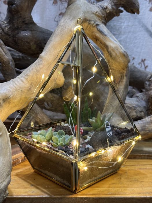 Diwali Pyramid Terrarium (8 inches)