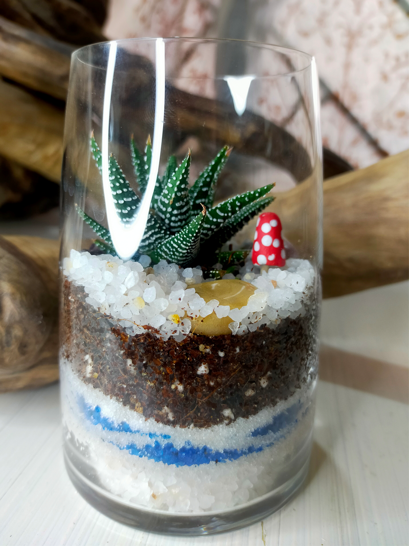 Mini Cup Terrarium - Petite Prince