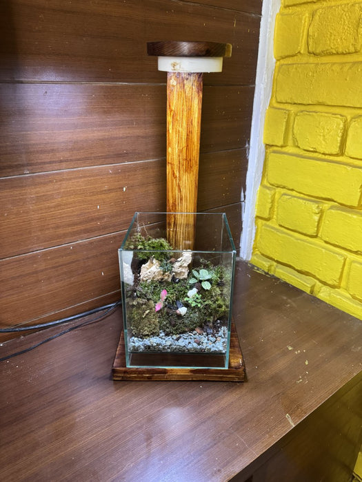 Cube Moss Terrarium (6x6x8 inches)
