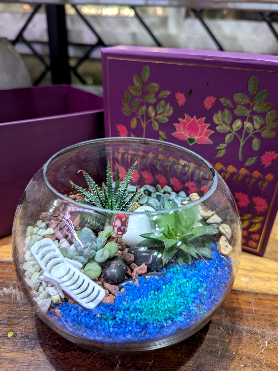 Table Top Terrariums