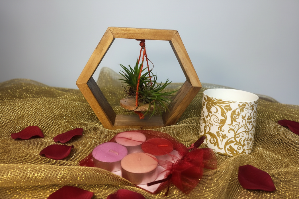 Air Plant on Hexagonal Wooden Mount with Scented Tea lights and an Elegant holder