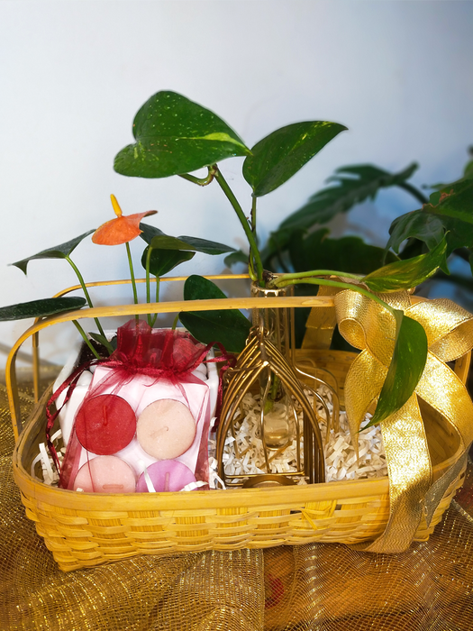 anthurium gifts Anthurium Hamper — Mudfingers