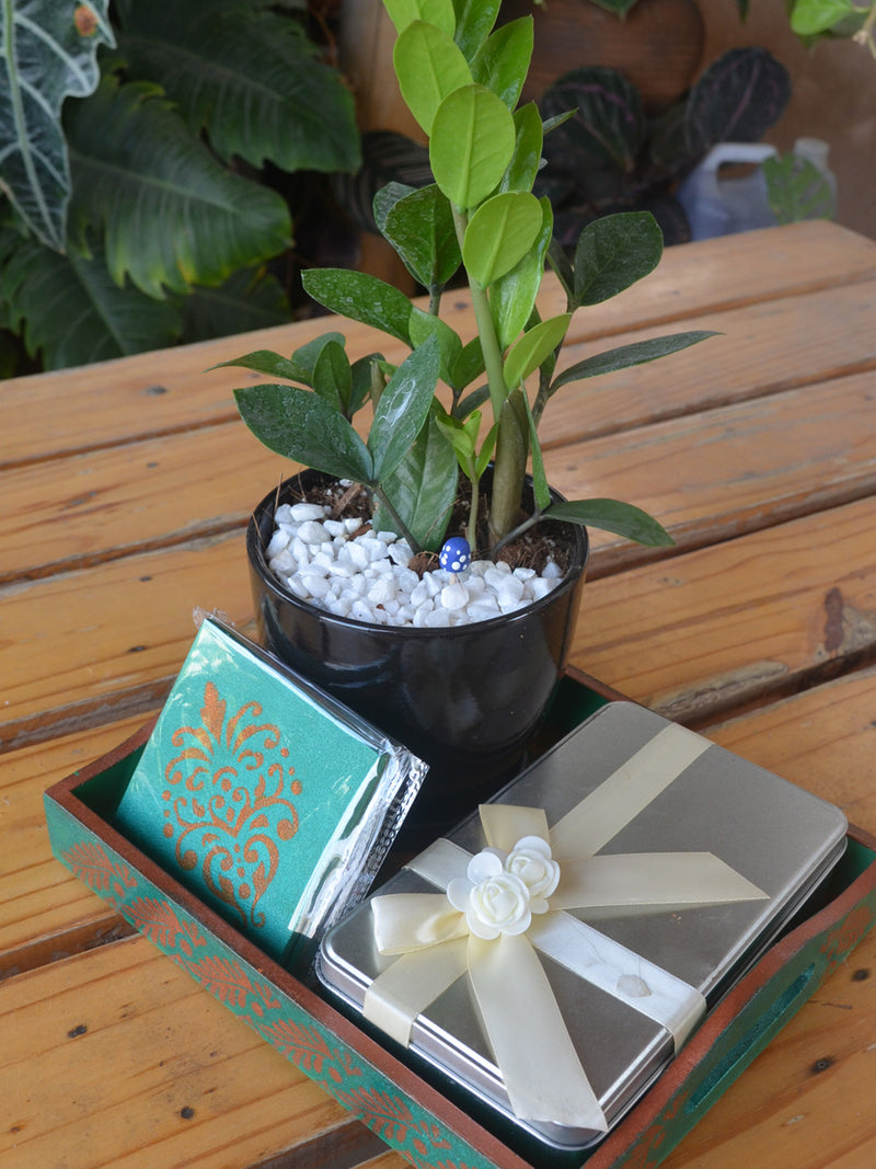 Green Lantern Hamper - ZZ in ceramic, Chocolates, Coasters & Hand Painted Tray