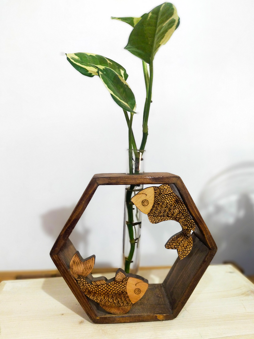 Green Fish Hexa - Money Plant in a Test Tube mounted on a Hexagonal Wooden Frame