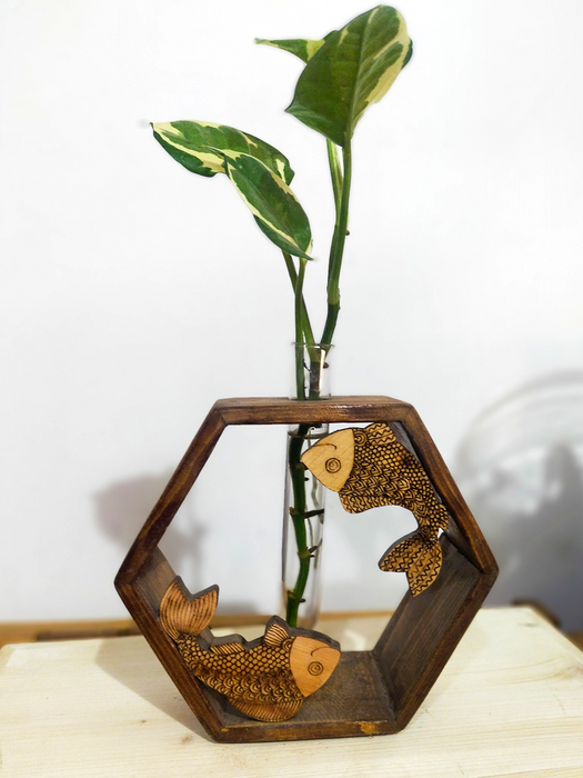 money plant with fish Green Fish Hexa