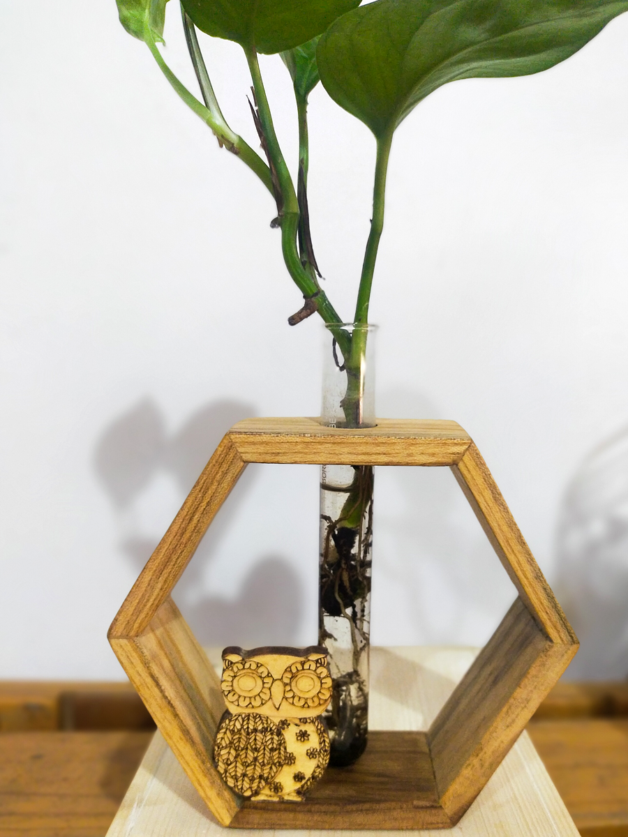 Green Owl Hexa