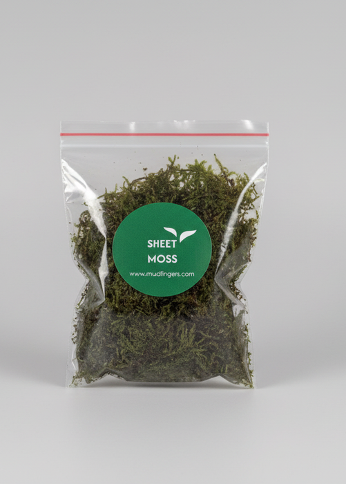 Sheet Moss - (8*6 inches) A5 Size