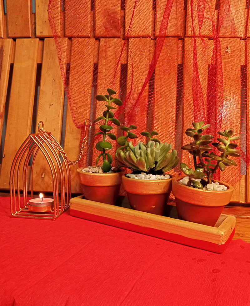 Three in Gold (Succulents combo and a diya holder)