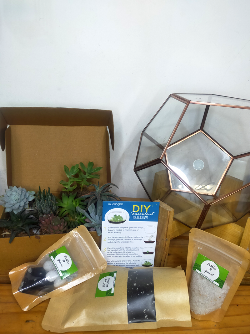 Do-it-Yourself - DIY- Pentagonal Terrarium 10 inches