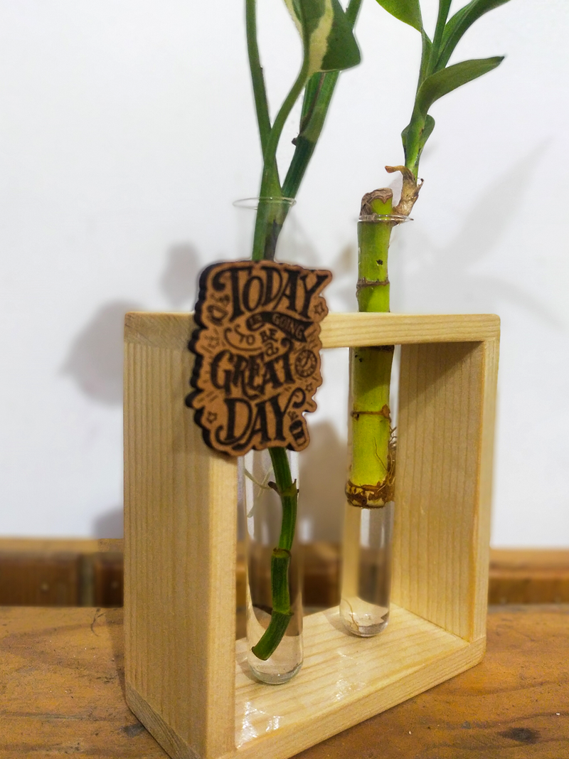 Hydroponic Indoor Plant in Glass - Double test Tube in  Wooden Frame