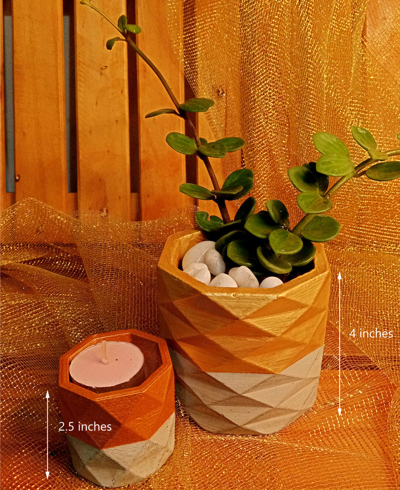 Golden Peperomia Combo in 4 inch Cement Pot and a Candle Holder.