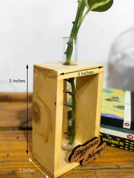 Hydroponic Indoor Plant in Glass - Single test Tube in  Wooden Frame