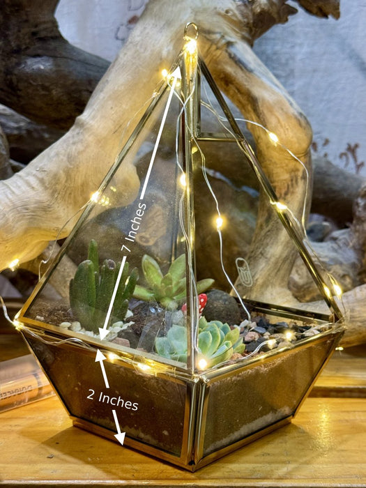 Diwali Pyramid Terrarium (8 inches)