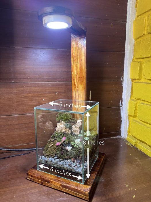 Cube Moss Terrarium (6x6x8 inches)