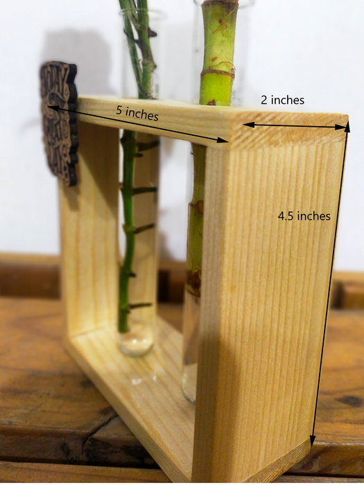 Hydroponic Indoor Plant in Glass - Double test Tube in  Wooden Frame