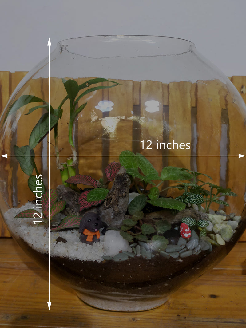 Moon Terrarium