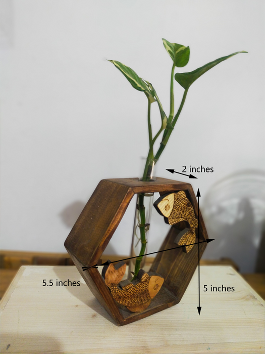 Green Fish Hexa - Money Plant in a Test Tube mounted on a Hexagonal Wooden Frame