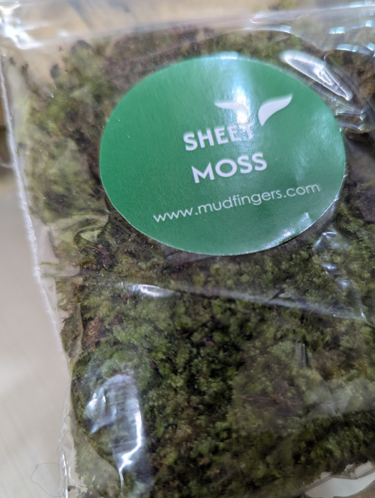 Sheet Moss - (8*6 inches) A5 Size