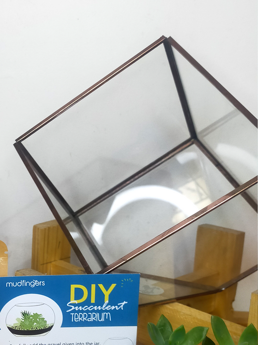 Do-it-Yourself - DIY- Geometric Inclined Cube Terrarium 8 inches