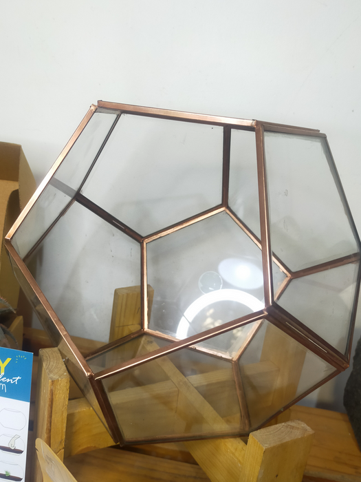 Do-it-Yourself - DIY- Pentagonal Terrarium 10 inches