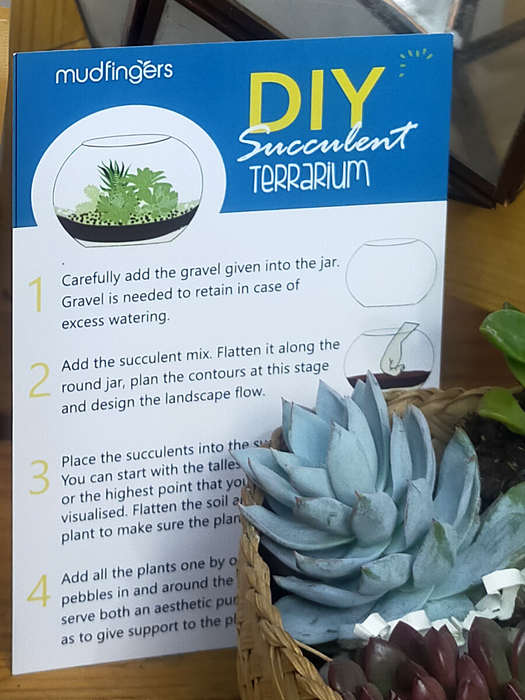 Do-it-Yourself - DIY- Pyramid Terrarium 10 inches