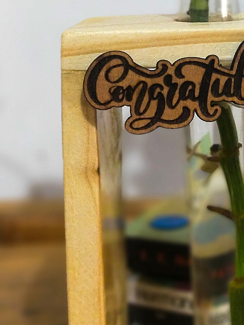 Hydroponic Indoor Plant in Glass - Single test Tube in  Wooden Frame