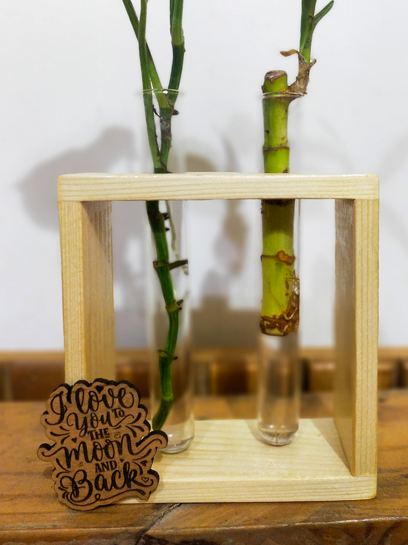 Hydroponic Indoor Plant in Glass - Double test Tube in  Wooden Frame