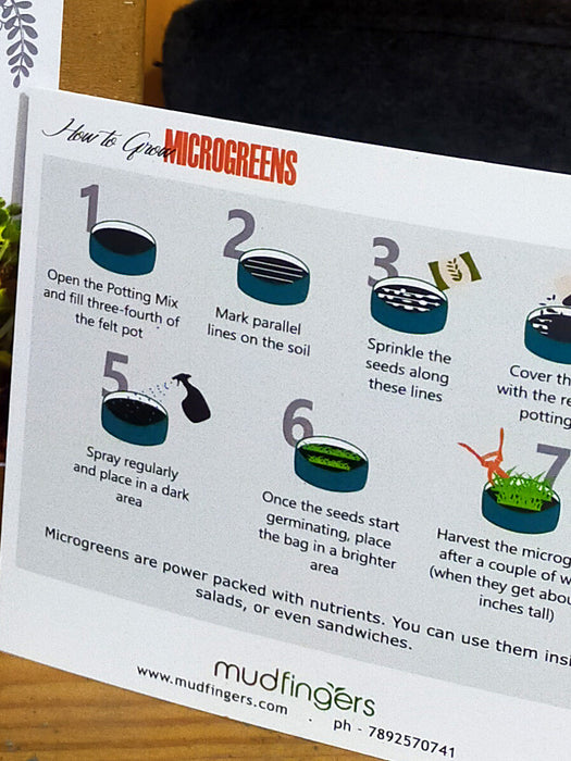 Microgreens Seed Kit