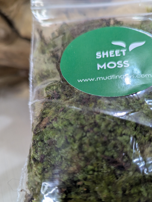 Sheet Moss - (8*6 inches) A5 Size