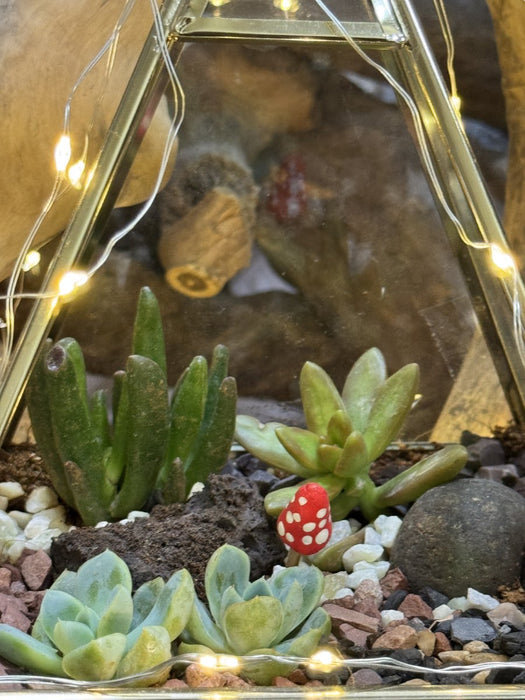Diwali Pyramid Terrarium (8 inches)