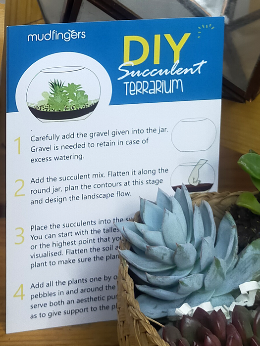 Do-it-Yourself - DIY- Wine Goblet Succulent Terrarium 10 inches