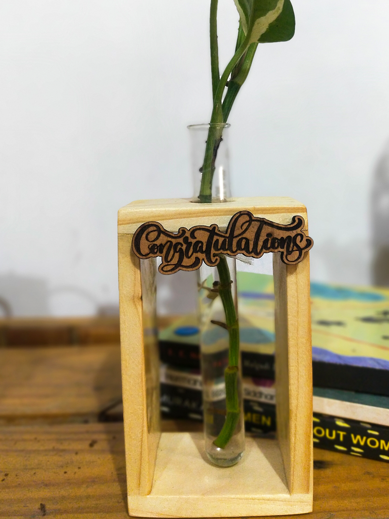 Hydroponic Indoor Plant in Glass - Single test Tube in  Wooden Frame
