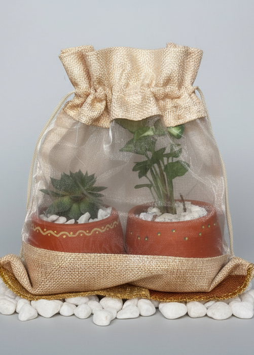 Two potted plants in a clear bag with burlap trim on a gray background