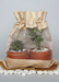 Two potted plants in a clear bag with burlap trim on a gray background
