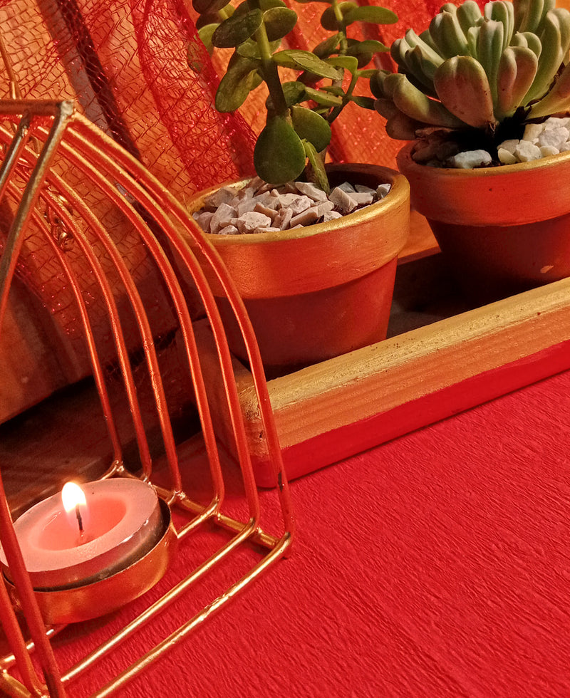 Three in Gold (Succulents combo and a diya holder)