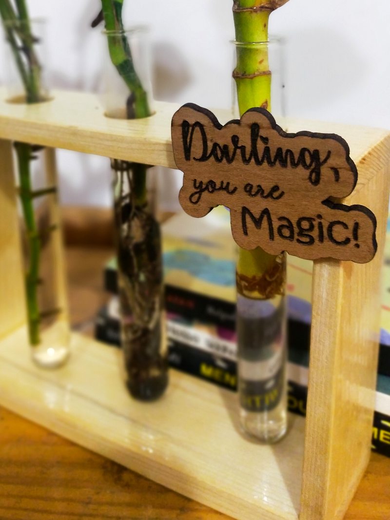 Hydroponic Indoor Plant in Glass - Triple test Tube in  Wooden Frame