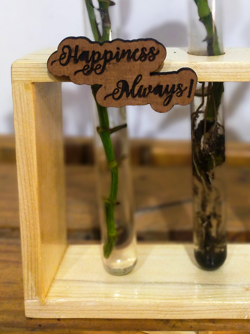 Hydroponic Indoor Plant in Glass - Triple test Tube in  Wooden Frame