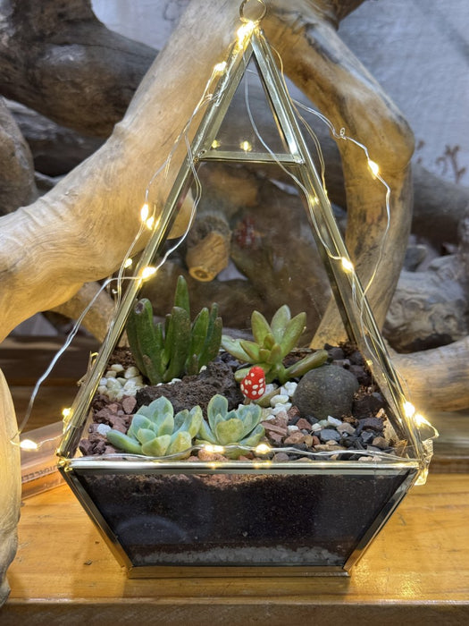 Diwali Pyramid Terrarium (8 inches)